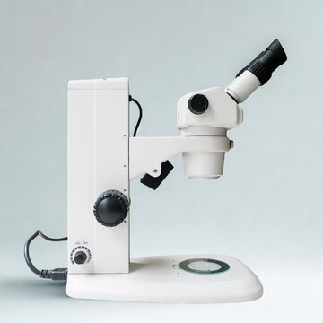 Side view of a white stereo microscope, commonly used for low-magnification observation of specimens, placed against a neutral background.
