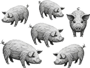 Abstract Vector of 6 Pigs with Soft Feather Textures, Cute and Artistic Design
