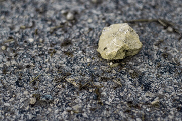 A pale yellow stone sits alone on a coarse asphalt road, surrounded by small debris and dried plant...