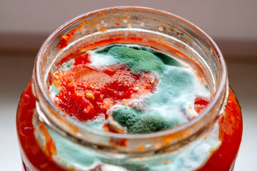 A glass jar with red tomato sauce and a pronounced layer of green and white mold