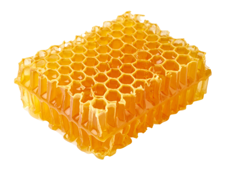Single Clean-Cut Honeycomb Slice with Smooth Edge, Minimal White Background