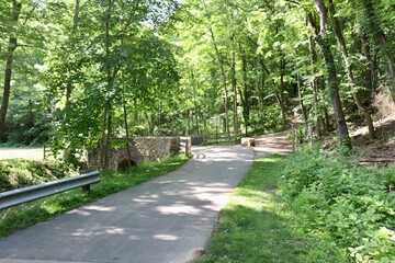 The pathway in the park on a summer day.