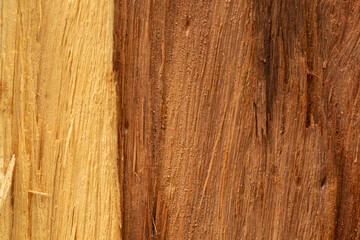Fototapeta premium Macro wood texture,Close-Up of Dark Wood Texture with Deep Grooves,Old wood textured background. Dark driftwood surface, burnt wood brushing, macro brown floor