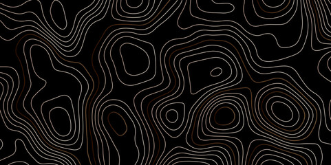"An abstract, minimalist topographic map with intricate, thin white and light brown contour lines flowing organically across a deep black background, suggesting undulating terrain or sound waves."