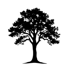 realistic oak tree silhouette with full foliage