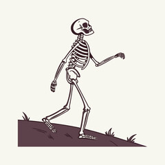 skeleton of a skeleton