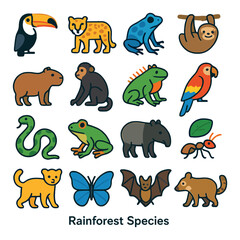 Rainforest species icon collection: simple wildlife icons with frog, snake, parrot, monkey,