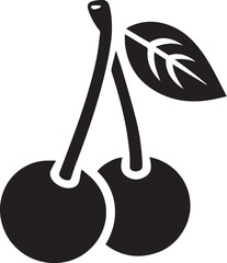 Cherry fruit vector illustration on white background