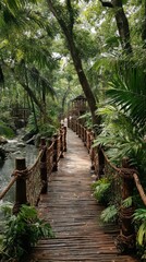 Wooden Bridge Surrounded by Lush Forest and a Calm River in a Tropical Setting During Daylight.