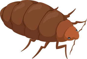 illustration bed bug