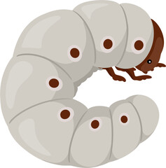illustration beetle larvae