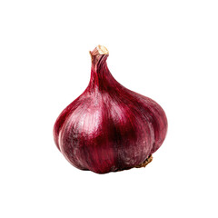 Single red onion, close-up