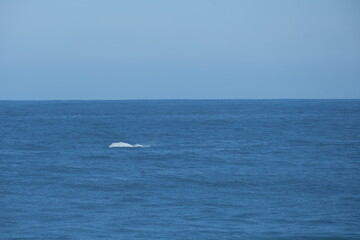 Obraz premium Breathtaking View of Indian Ocean at Tsitsikamma National Park