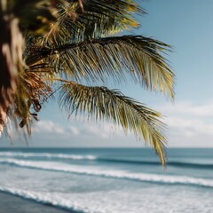Fototapeta premium Gentle Swaying Palm Tree against Tranquil Beach Setting. Lush Greenery and Serene Seascape.