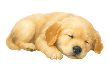 Adorable Sleeping Golden Retriever Puppy Illustration on Black Background