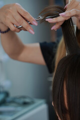 Naklejka premium Close-up of a hairdresser’s hands holding a strand of hair upwards while cutting it with scissors. Focus on the professional haircutting process 