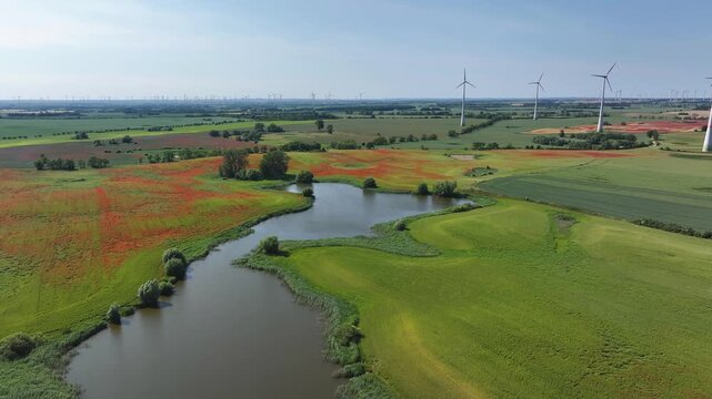 Aerial view of bright red poppy fields contrasting with green meadows and the sleek white wind turbines, Brussow Uckermark, Brandenburg, Germany.