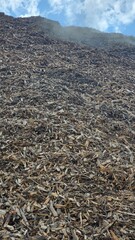 Massive Mulch Pile