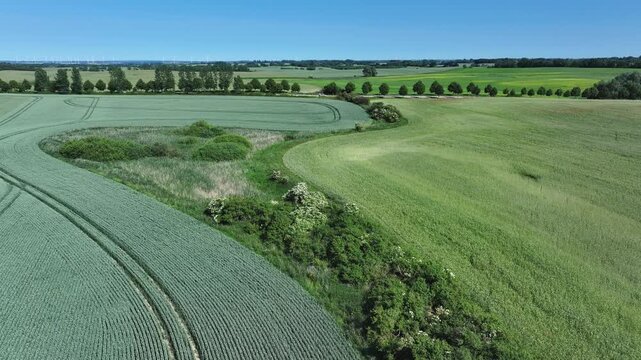 Aerial view of vibrant green fields, lush trees and bushes creating a beautiful mosaic of textures and tones, Brussow Uckermark, Brandenburg, Germany.