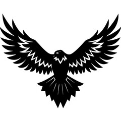 Obraz premium eagle with wings