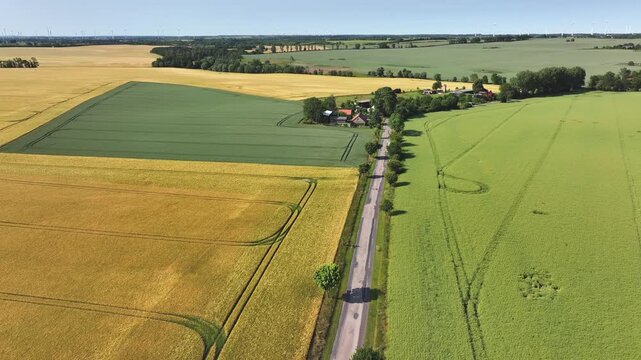 Aerial view of golden and green fields bisected by a long, grey road lined with trees, showcasing the contrast between agriculture and infrastructure, Randowtal, Uckermark, Germany.