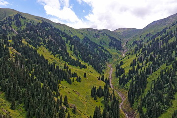Ile-Alatau National Park. Mountainous area with different vegetation near Almaty. The Tian Shan...