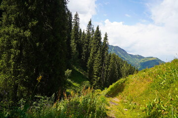 Ile-Alatau National Park. Mountainous area with different vegetation near Almaty. The Tian Shan...