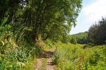 Ile-Alatau National Park. Mountainous area with different vegetation near Almaty. The Tian Shan Mountains.