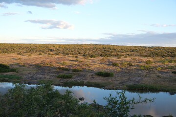 Serene Landscape of Kruger National Park with Lush Vegetation