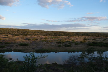 Serene Landscape of Kruger National Park with Blue Skies and Clouds