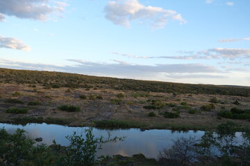 Breathtaking Kruger National Park Landscape with Vast Horizon