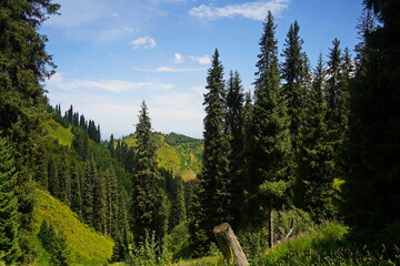 Ile-Alatau National Park. Mountainous area with different vegetation near Almaty. The Tian Shan...