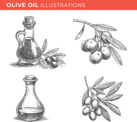 Set illustrations of olive oil isolated on transparent background. Vector graphics