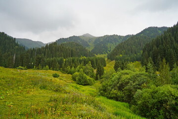 Obraz premium Ile-Alatau National Park. Mountainous area with different vegetation near Almaty. The Tian Shan Mountains.