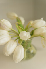 White tulips in glass vase on minimalist kitchen counter