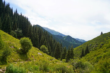 Fototapeta premium Ile-Alatau National Park. Mountainous area with different vegetation near Almaty. The Tian Shan Mountains.