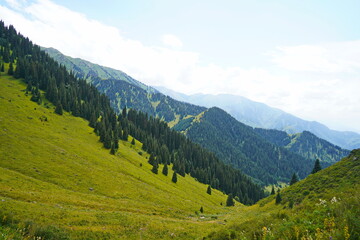 Fototapeta premium Ile-Alatau National Park. Mountainous area with different vegetation near Almaty. The Tian Shan Mountains.