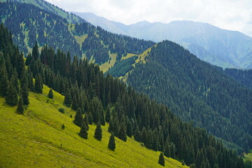 Ile-Alatau National Park. Mountainous area with different vegetation near Almaty. The Tian Shan...