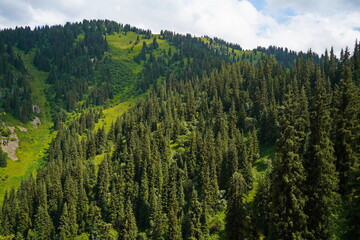 Ile-Alatau National Park. Mountainous area with different vegetation near Almaty. The Tian Shan...
