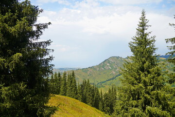 Ile-Alatau National Park. Mountainous area with different vegetation near Almaty. The Tian Shan...