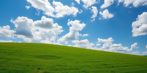 Rolling green hilltop meadow under a vibrant blue sky dotted with fluffy white clouds, white, environment