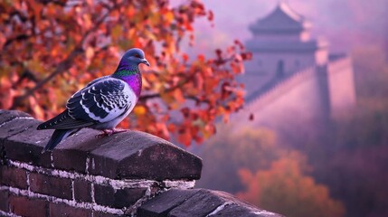 Pigeon perched on a brick wall overlooking a historical .