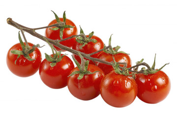 Fresh Cherry Tomatoes on Vine on Transparent Background