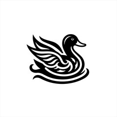 Fototapeta premium A black duck is swimming, isolated on white background