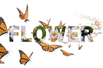 Monarch Butterflies and Daisies: The word Flower is created using images of daisies and surrounded...
