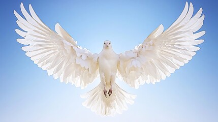 Bird wings fully extended flying in cloudless sky, mirrorless telephoto lens capture showing crisp detail with vibrant blue background and centered composition