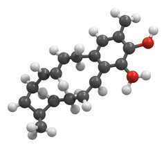 3D Model of Complex Organic Molecule on Transparent Background