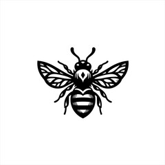 Obraz premium A simple black and white drawing of a bee isolated on white background