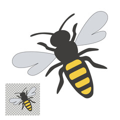 Vector drawing of honey bee