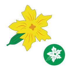 Cucumber flower. Small cucumber with flower vector.